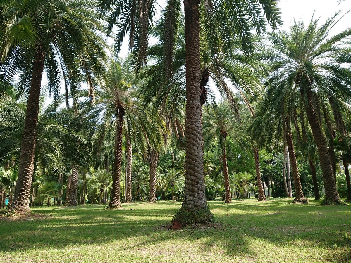 Lopburi Palm Resort מראה חיצוני תמונה